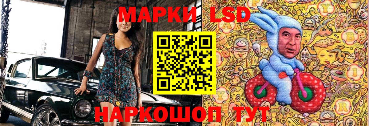 Электрогорск  Марки N-bome 1,5мг  сколько стоит  Вход с VPN  Марки N-bome 1,5мг 