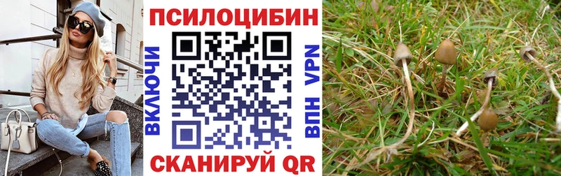 купить наркотики цена  Электрогорск  Галлюциногенные грибы Psilocybine cubensis 