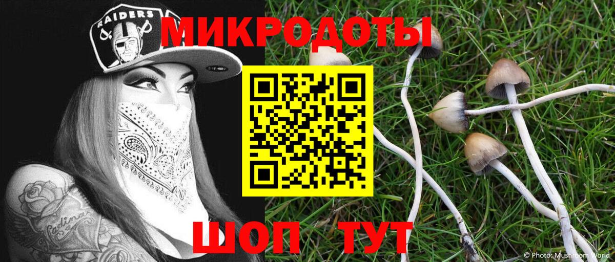 Псилоцибиновые грибы ЛСД Электрогорск