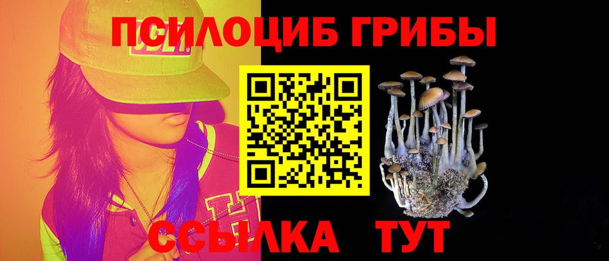 Электрогорск  Псилоцибиновые грибы GOLDEN TEACHER  Вход с VPN 